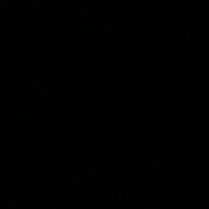 Meet your Posher, Grayson